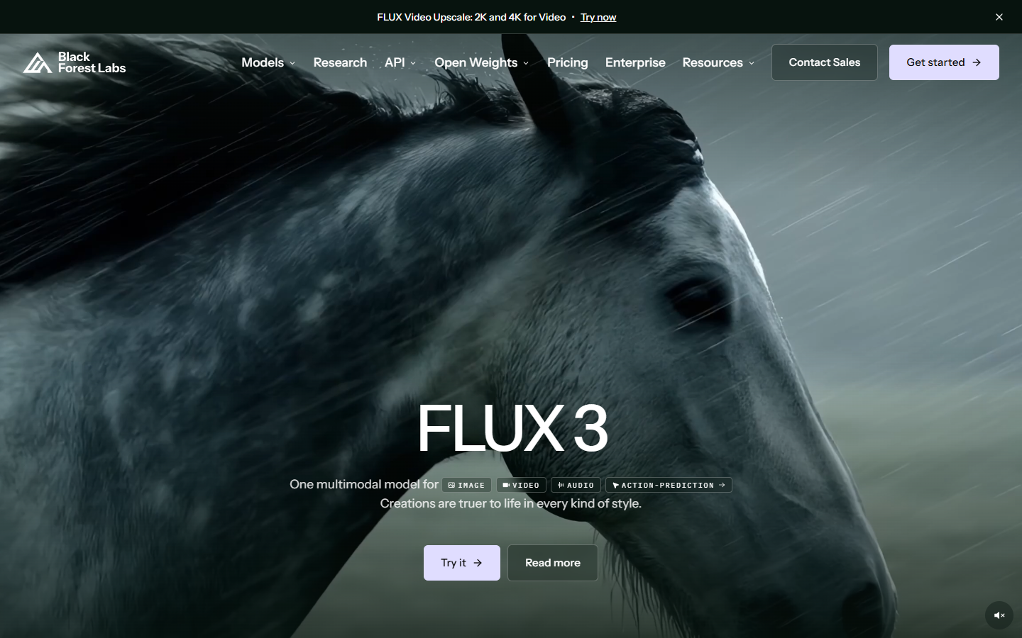 FLUX 3 展示图片 1