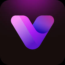 Viddo AI