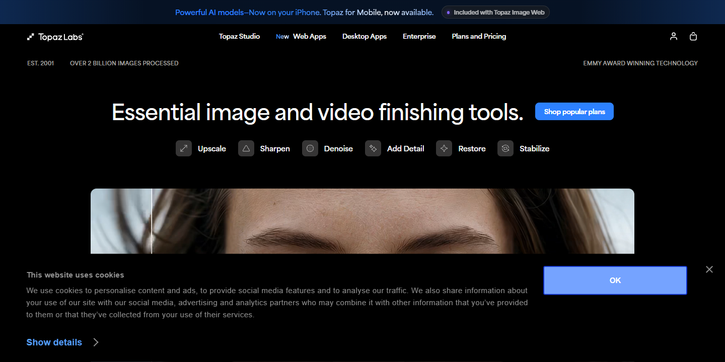 Topaz Labs 展示图片 1