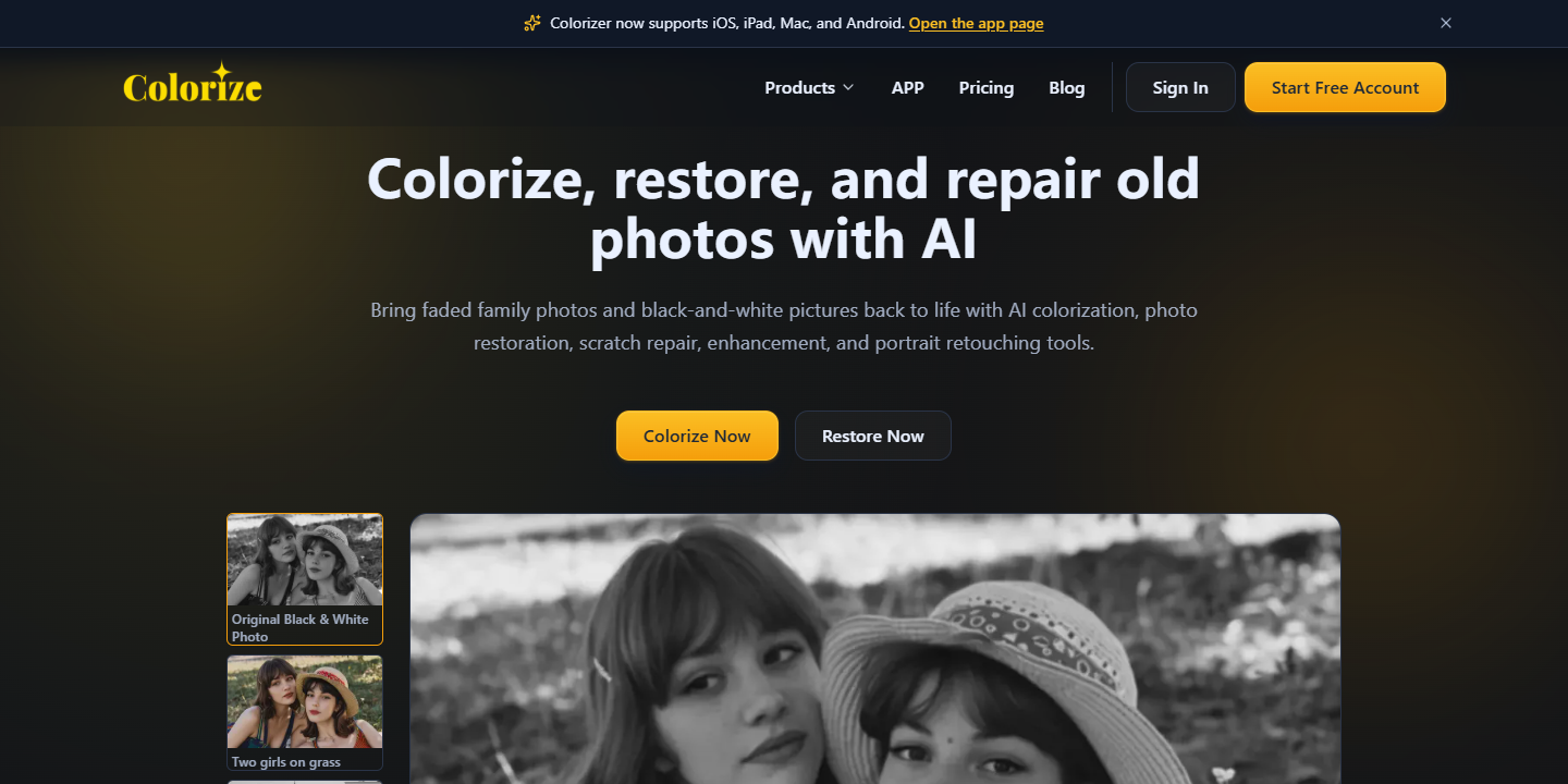 ImageColorizer 展示图片 1