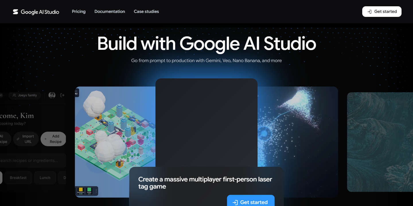 Google AI Studio 展示图片 1